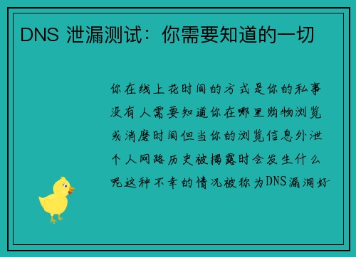 DNS 泄漏测试：你需要知道的一切 