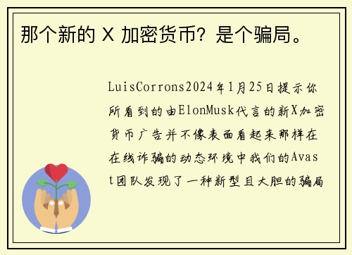那个新的 X 加密货币？是个骗局。